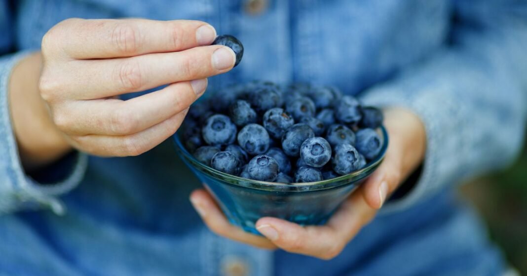 “Expert Reveals Money-Saving Tip for Growing Blueberries at Home”