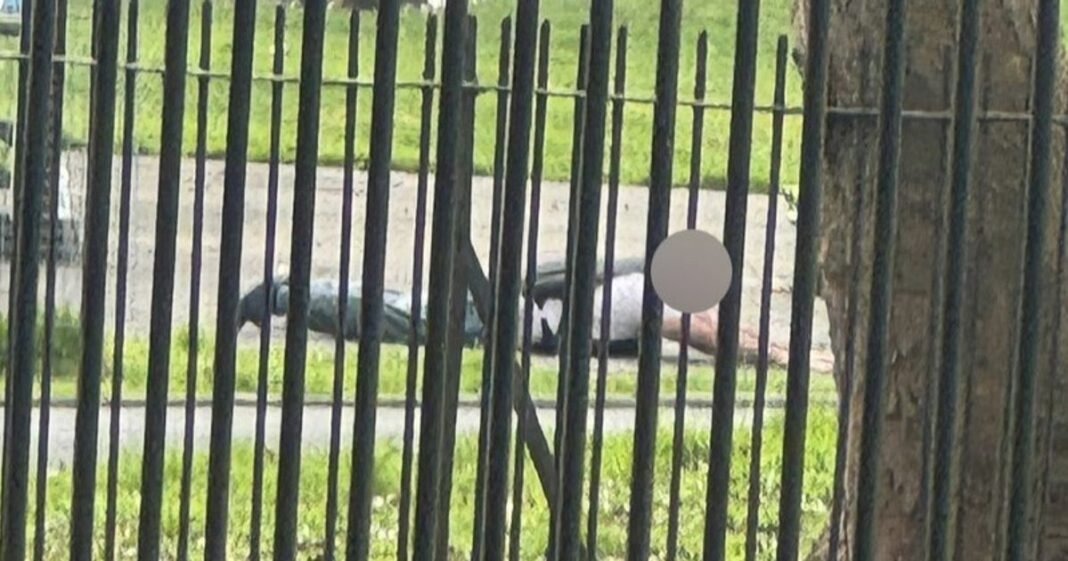 “False Alarm: Man in Gym Vest Prompts Police Response”