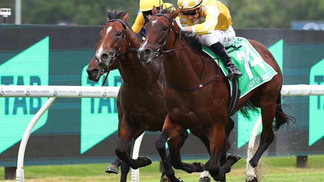 “Royal Ascot Contender Withdrawn After Stingray Mishap”