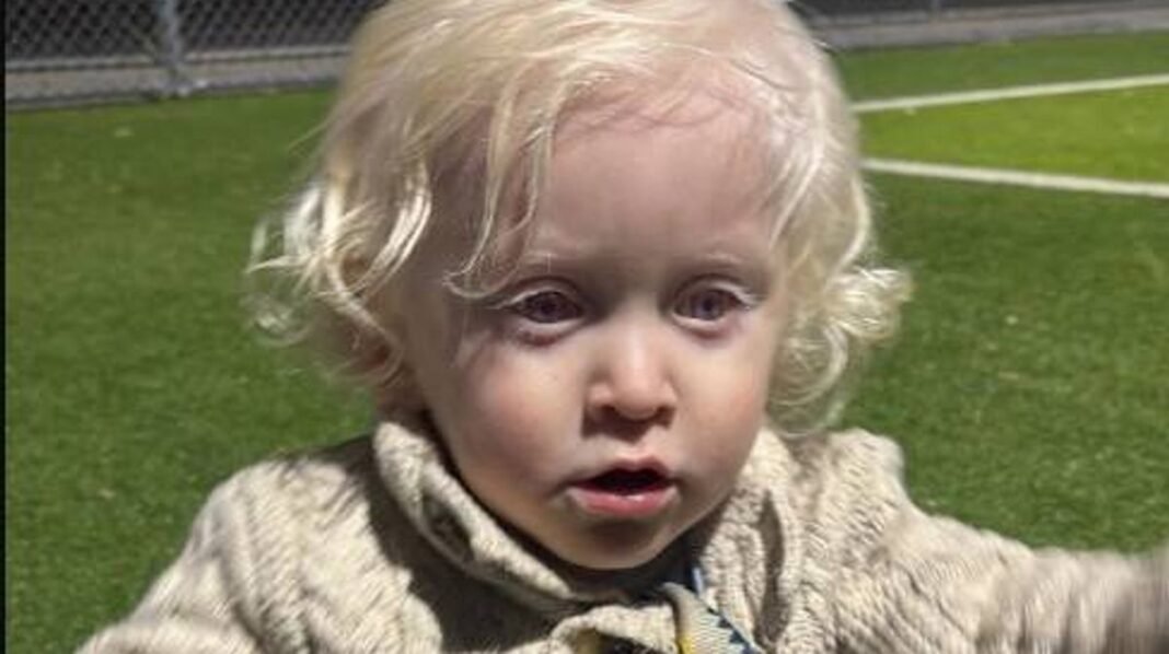“Hit-and-Run Tragedy: Toddler Killed at LA Beach”