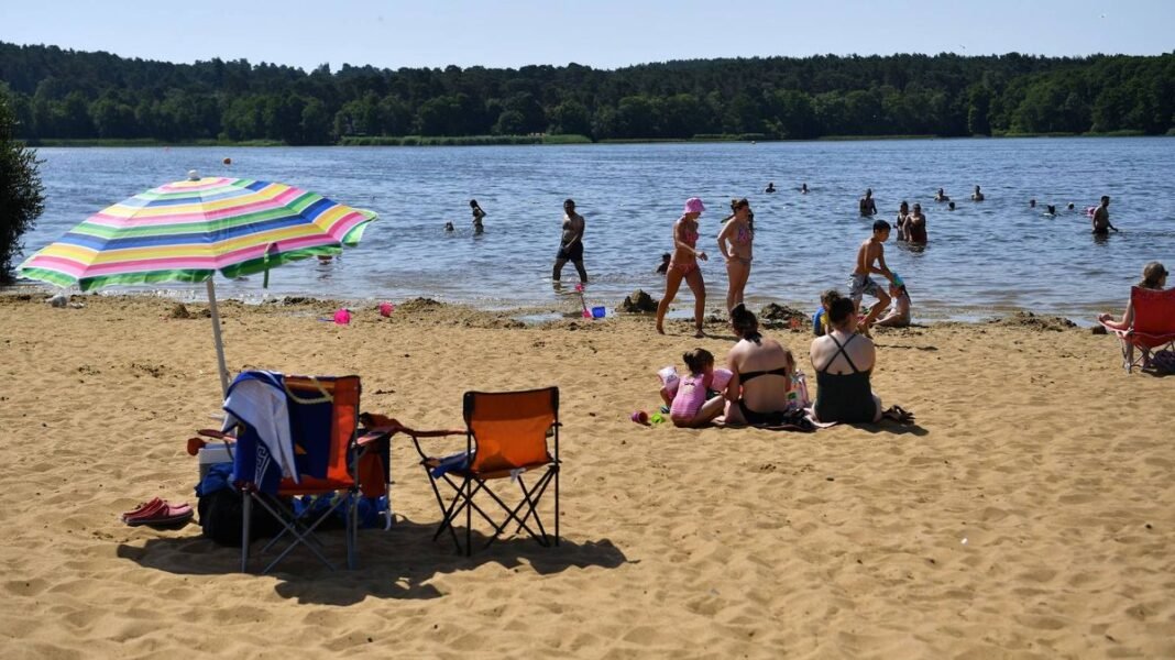 “Hidden Gem: Frensham Great Pond – Surrey’s Secret Beach Escape”