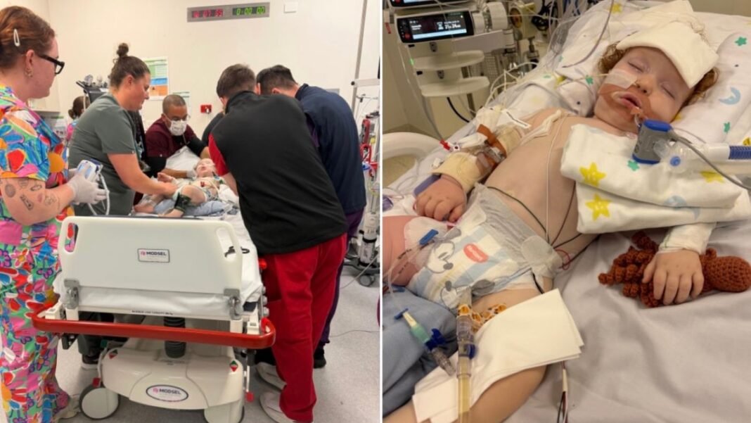 Toddler in Critical Condition After Cake Decorating Mishap