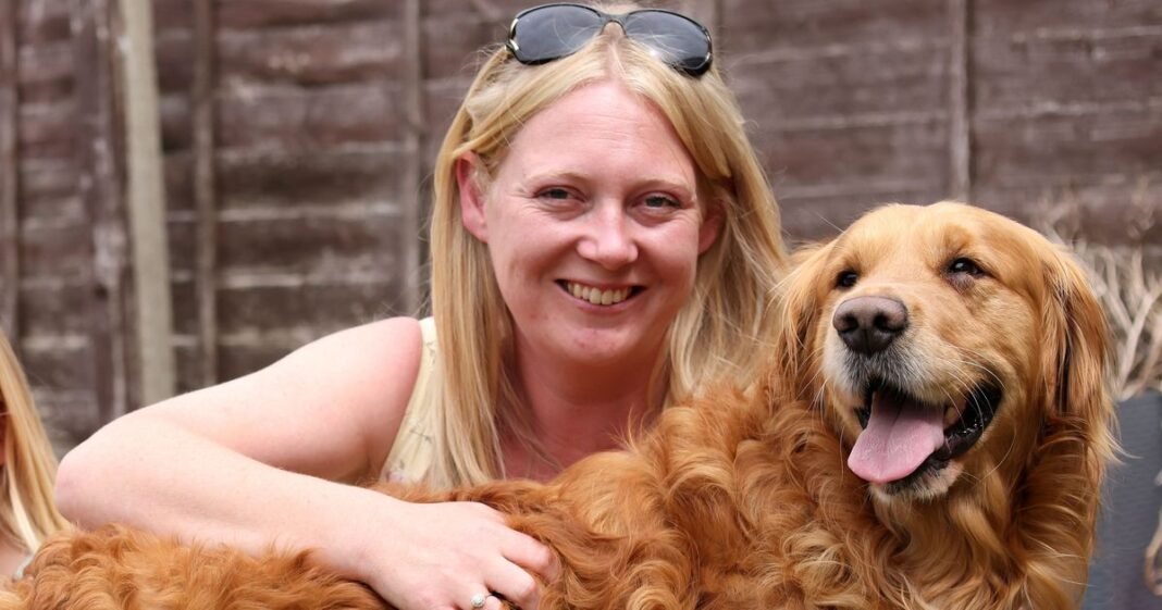 “Woodgreen Charity Saves Beloved Dog Ted from Health Crisis”