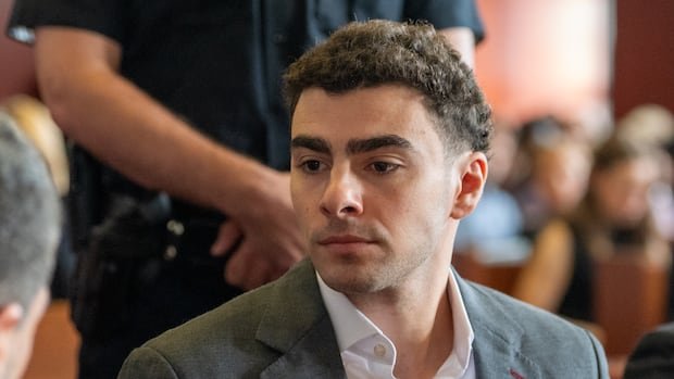 “Man Pleads Guilty to Killing Health Insurance CEO”