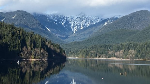 “From Johannesburg to Vancouver: A Journey of Rediscovery”