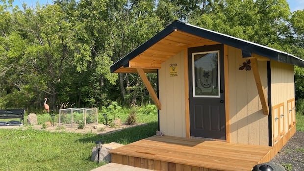 “Bee Bed Therapy: Unconventional Stress Relief Trend”