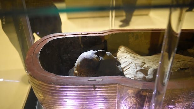 “Study Reveals Global Market for Online Sales of Human Remains”