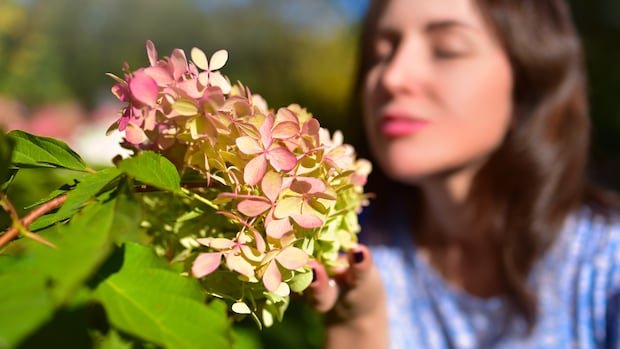 “Researcher leads ‘smell walks’ to explore city scents”