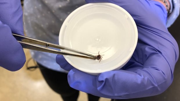 “Nova Scotia Lab Receives $1.2M for Tick Disease Research”