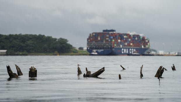 “El Niño Strengthens, Record-Breaking Weather Risks Ahead”