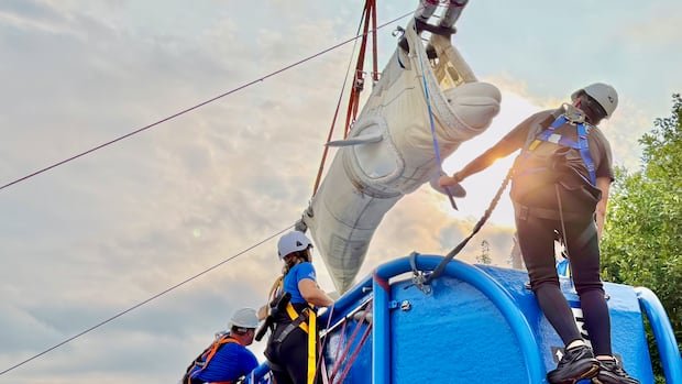 Animal Rights Group Urges Probe into Beluga Whale’s Death