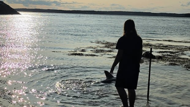 Teen Rescues Rare Shark in Brave Ocean Act