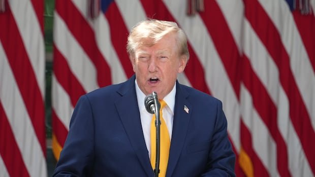 “Canada-US Trade Conflict Sparks Tariff-Driven Price Hikes”