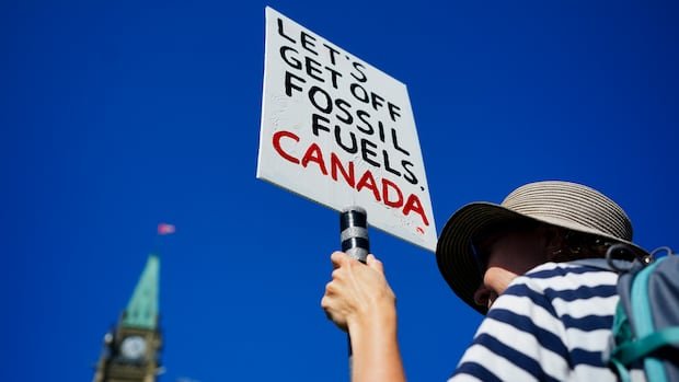 “Finding Hope Amid Climate Crisis: Weekly Environmental Highlights”
