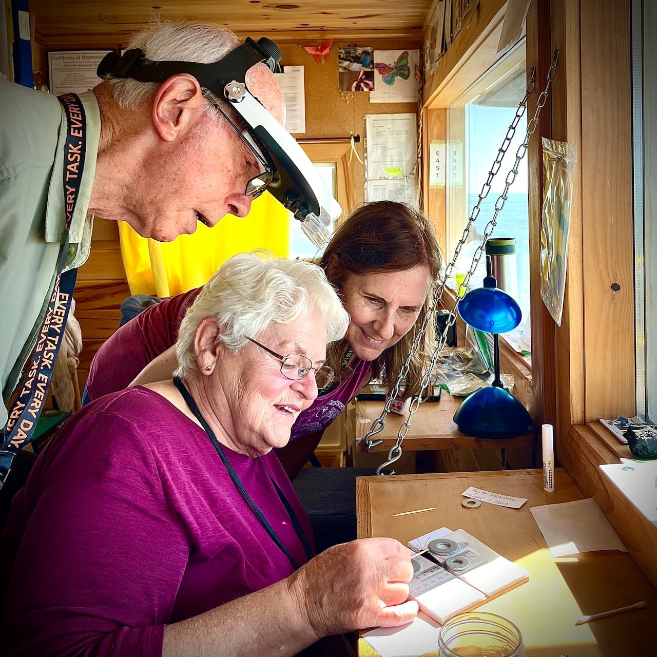 default-385 A man with a magnifying headset and two women tagging a butterfly in a wood-paneled room overlooking water.